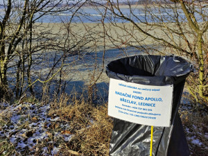 Okolí oblíbeného rybníka u Břeclavi zarůstá. Nadšenci vodní plochu zvelebí a obnoví pláž