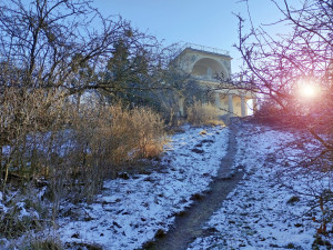 Okolí oblíbeného rybníka u Břeclavi zarůstá. Nadšenci vodní plochu zvelebí a obnoví pláž