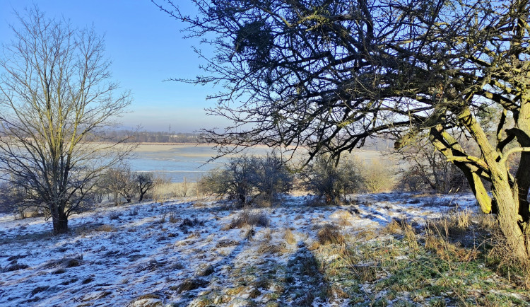 Okolí oblíbeného rybníka u Břeclavi zarůstá. Nadšenci vodní plochu zvelebí a obnoví pláž
