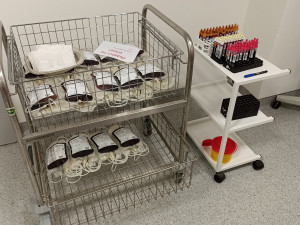 Strážníci jihomoravských městských policií spojili síly a hromadně v Brně darovali krev