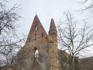 Rosa Coeli v Dolních Kounicích