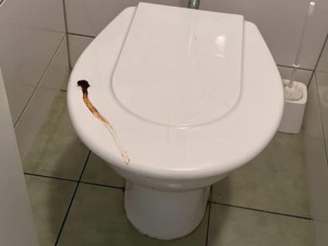 Na brněnském gymnáziu řádí Záchodový fantom. Toalety od fekálií prezentuje jako umělecká díla