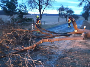Hasiči na jihu Moravy likvidovali stromy a větve, které popadaly kvůli silnému větru