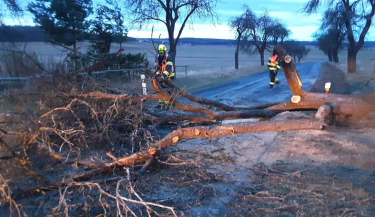 Hasiči na jihu Moravy likvidovali stromy a větve, které popadaly kvůli silnému větru