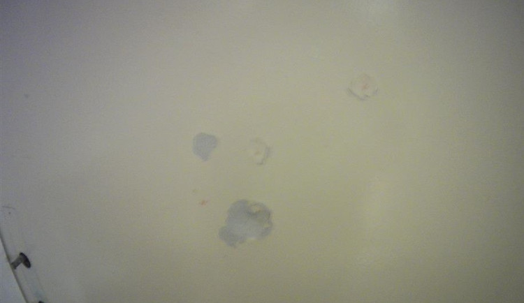 Žena navštívila tchyni v brněnském hotelu. Rozmlátila jí dveře od pokoje