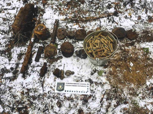 Pyrotechnici prohledávají les u Břeclavi. Odstraňují zbytky druhoválečné munice