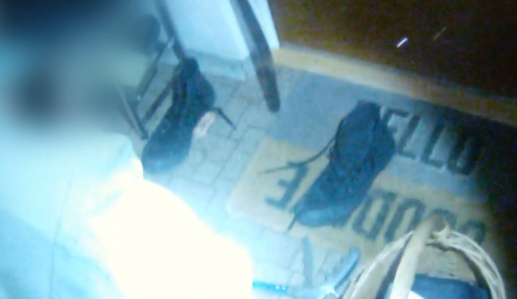 VIDEO: Obyvatele brněnského paneláku vyděsil had. Mládě užovky se schovávalo v botě