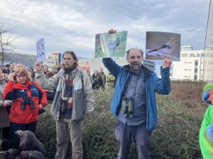 Brňané pozorovali přelety ptactva nad Brnem. Zimní nocoviště krkavcovitých ohrožuje plánovaná stavba lanovky