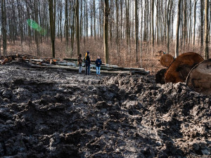 Ochránci přírody vyzvali ministry, aby zastavili další kácení ve Ždánickém lese