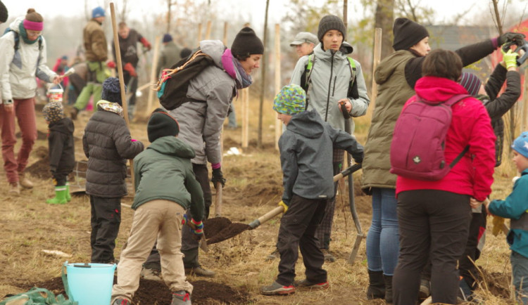 Kam o víkendu na jižní Moravě? Do balónkové zoo nebo pomáhat přírodě po tornádu
