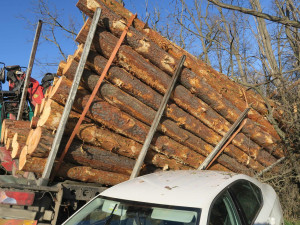 Odtahovka vezla nepojízdný kamion plný dřeva. Vůz se v kopci uvolnil a smetl další auta