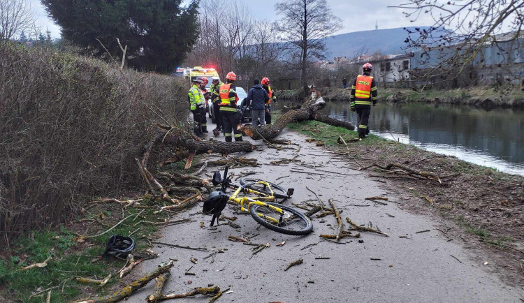 432273531_797258502428930_5891933231047373572_n