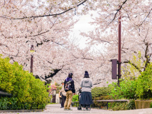 Kam na jarní dovolenou? Objevte těchto pět úchvatných destinací