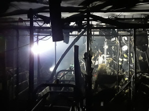 Požár zasáhl chov prasat. Prasnice i selata, kterých bylo v objektu skoro pět set, jsou v pořádku