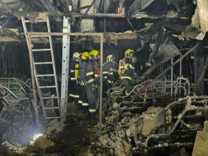 Požár zasáhl chov prasat. Prasnice i selata, kterých bylo v objektu skoro pět set, jsou v pořádku