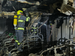 Požár zasáhl chov prasat. Prasnice i selata, kterých bylo v objektu skoro pět set, jsou v pořádku