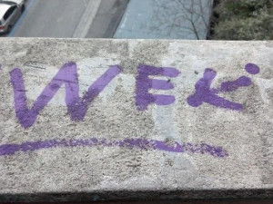 Sprejeři si vzali do parády brněnskou památku. Podpis podezřelých strážníci odhalili i na dalších místech po městě