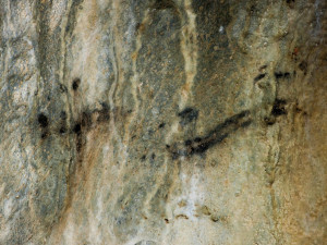 Vědci datovali pravěké kresby v Moravském krasu. Díla z Kateřinské jeskyně jsou stará více než pět tisíc let