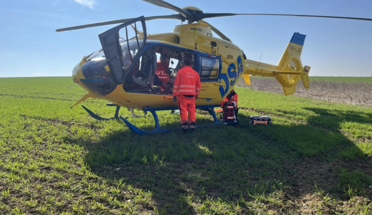 Na mladého muže na Hodonínsku spadl strom. Se zraněním ho transportoval do nemocnice vrtulník