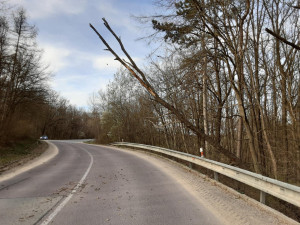 Hasiče v Brně a okolí zaměstnal silný vítr. Řešili desítky událostí