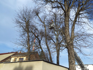 Hasiče v Brně a okolí zaměstnal silný vítr. Řešili desítky událostí