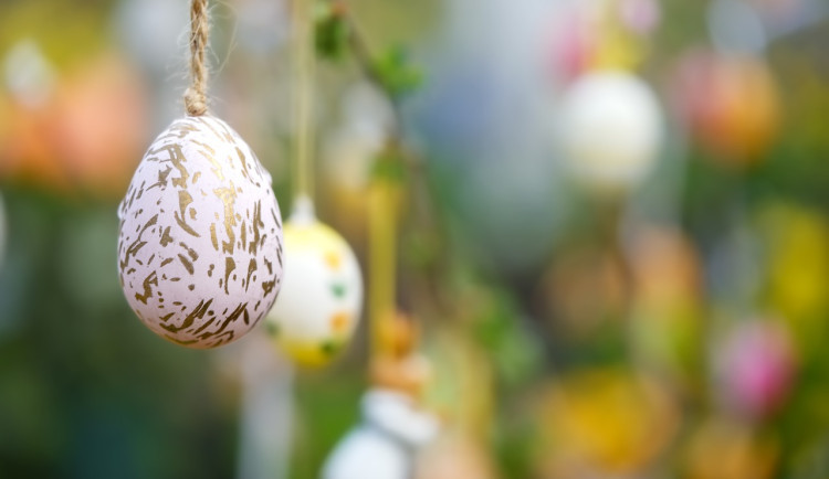 size3-17117357358198-207-anketa-dodrzujete-behem-velikonoc-tradice