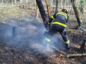 Na Hodonínsku hořely dvě stodoly, na Brněnsku lesní porosty. Hasiči kvůli větru vyhlásili druhý stupeň poplachu