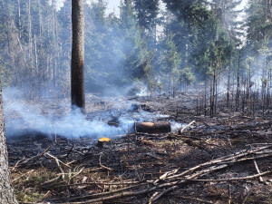 Na Hodonínsku hoří dvě stodoly, na Brněnsku lesní porosty. Hasiči kvůli větru vyhlásili druhý stupeň poplachu