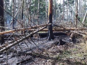 Na Hodonínsku hoří dvě stodoly, na Brněnsku lesní porosty. Hasiči kvůli větru vyhlásili druhý stupeň poplachu