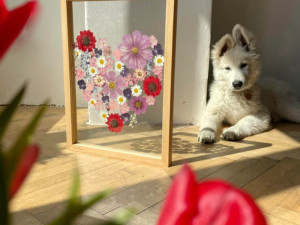 Veronika s Petrem vyrábí úchvatné obrazy z lisovaných květin. Na výlety chodíme s batohy plných knih, říkají