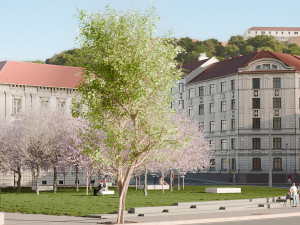 VIZUALIZACE: Mendlovo náměstí by na poctu Elišky Rejčky mohl zdobit mandloňový sad s devíti bílými kvádry