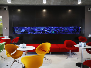 Rakovinu prostaty umí v Praze léčit na světové úrovni