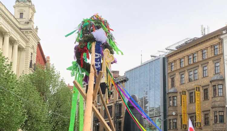 VIDEO: Studenti v Brně odstartovali majálesové jaro. V centru metropole postavili májku