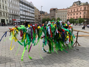 VIDEO: Studenti v Brně odstartovali majálesové jaro. V centru metropole postavili májku
