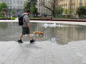 VIDEO: Pracovníci napouští kašnu na Moravském náměstí. Brněnské moře letos zahájilo sezonu dříve