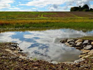 Ve Vyškově přibude u Lulečského potoka další mokřad i soustava tůní. Zeleň by měla pomoci s udržením vody