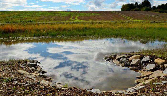 Ve Vyškově přibude u Lulečského potoka další mokřad i soustava tůní