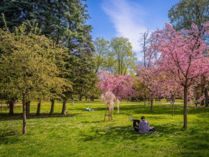 Pavel Gabzdyl/Hvězdárna a planetárium Brno