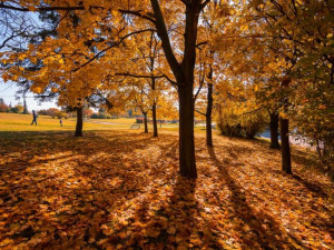 Pavel Gabzdyl/Hvězdárna a planetárium Brno