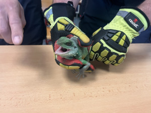 Hasiči se v zoo v Brně učili správně manipulovat s velkými ptáky i dlouhými hady