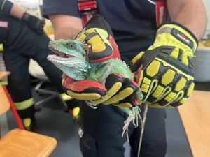 Hasiči se v zoo v Brně učili správně manipulovat s velkými ptáky i dlouhými hady