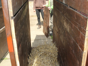 Vzácní přímorožci z Hodonína už jsou v Itálii. Převoz proběhl bez větších komplikací