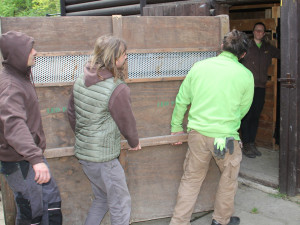 Vzácní přímorožci z Hodonína už jsou v Itálii. Převoz proběhl bez větších komplikací