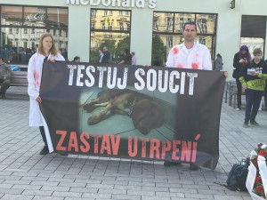 Aktivisté v Brně protestovali proti pokusům na zvířatech. Kolemjdoucí na ně útočně pokřikovali