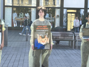 Aktivisté v Brně protestovali proti pokusům na zvířatech. Kolemjdoucí na ně útočně pokřikovali