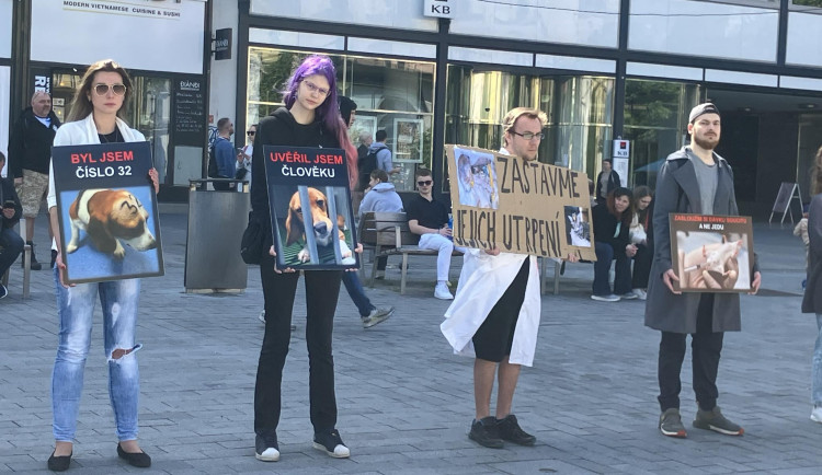 Aktivisté v Brně protestovali proti pokusům na zvířatech. Kolemjdoucí na ně útočně pokřikovali