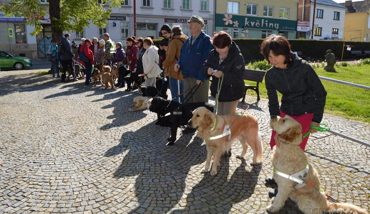 Do Blanska dorazili nevidomí z celého Česka. Jejich vodicí psi se v dovednostní soutěži utkali o játrové medaile