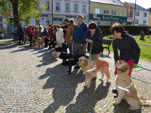 Do Blanska dorazili nevidomí z celého Česka. Jejich vodicí psi se v dovednostní soutěži utkali o játrové medaile