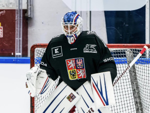 Nároďák s hvězdami NHL se sešel v Brně. Zápas proti Švédům odehraje ve speciálních dresech