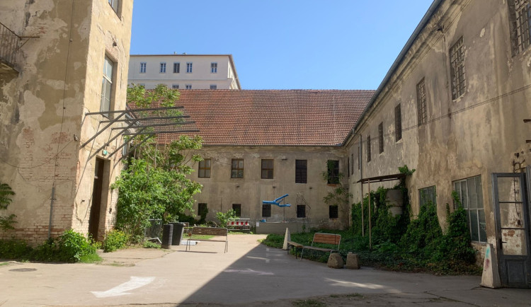 Obrázek WhatsApp, 2024-04-30 v 13.18.44_eafaae5d